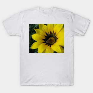 Gazania 12 - Gazania with Bee photograph T-Shirt